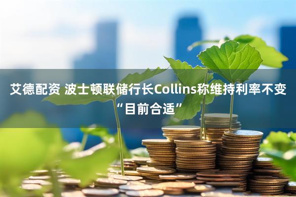 艾德配资 波士顿联储行长Collins称维持利率不变“目前合适”