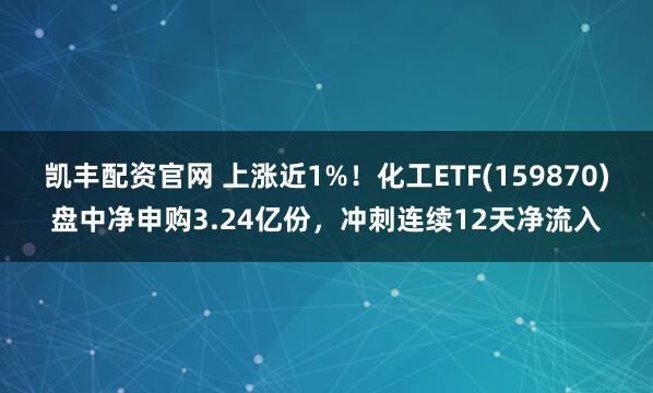 凯丰配资官网 上涨近1%!化工ETF(159870)盘中净申购3.24亿份,冲刺连续12天净流入
