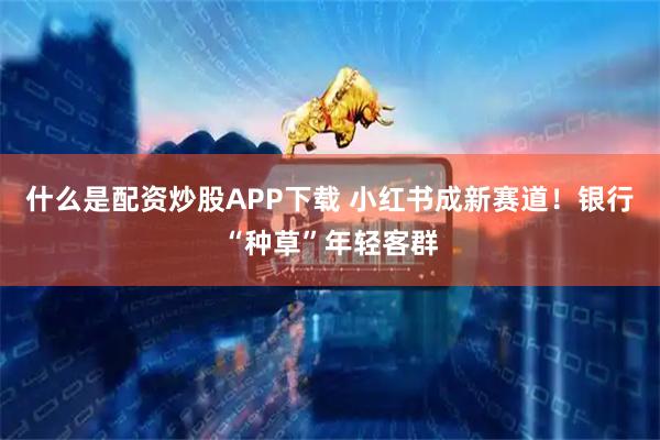 什么是配资炒股APP下载 小红书成新赛道!银行“种草”年轻客群