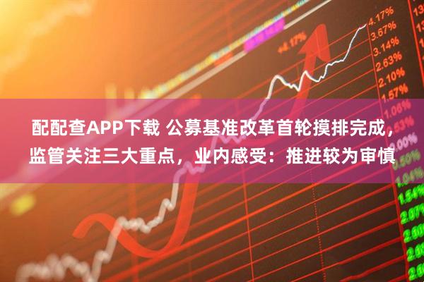 配配查APP下载 公募基准改革首轮摸排完成，监管关注三大重点，业内感受：推进较为审慎